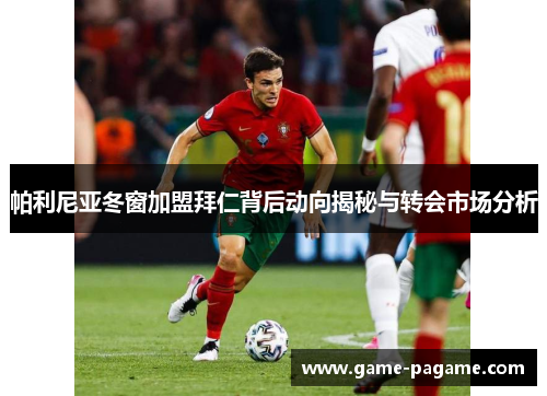 帕利尼亚冬窗加盟拜仁背后动向揭秘与转会市场分析