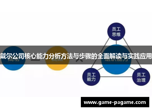 戴尔公司核心能力分析方法与步骤的全面解读与实践应用