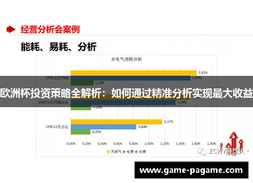 欧洲杯投资策略全解析：如何通过精准分析实现最大收益