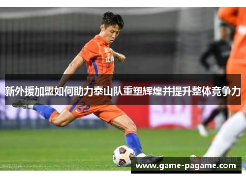 新外援加盟如何助力泰山队重塑辉煌并提升整体竞争力
