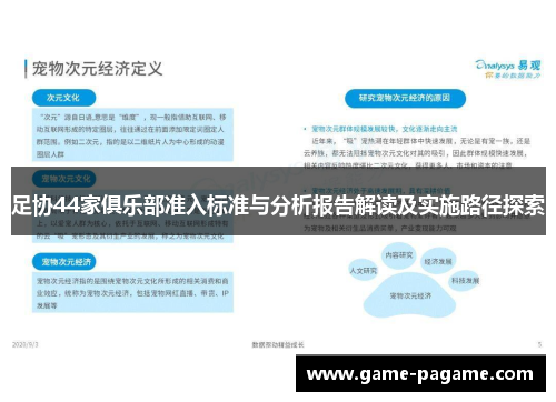 足协44家俱乐部准入标准与分析报告解读及实施路径探索