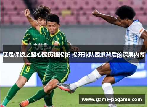 辽足保级之路心酸历程揭秘 揭开球队困境背后的深层内幕