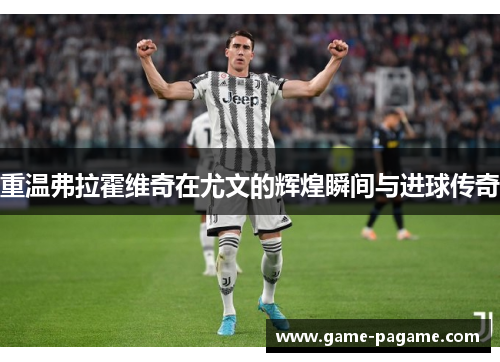 重温弗拉霍维奇在尤文的辉煌瞬间与进球传奇