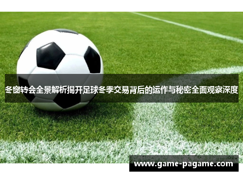 冬窗转会全景解析揭开足球冬季交易背后的运作与秘密全面观察深度