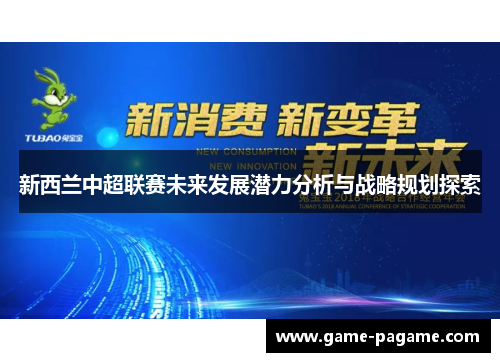 新西兰中超联赛未来发展潜力分析与战略规划探索 新西兰中超联赛未来发展潜力分析与战略规划探索