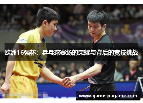 欧洲16强杯:乒乓球赛场的荣耀与背后的竞技挑战 欧洲16强杯:乒乓球赛场的荣耀与背后的竞技挑战