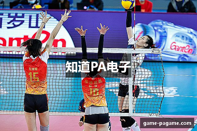 知道PA电子